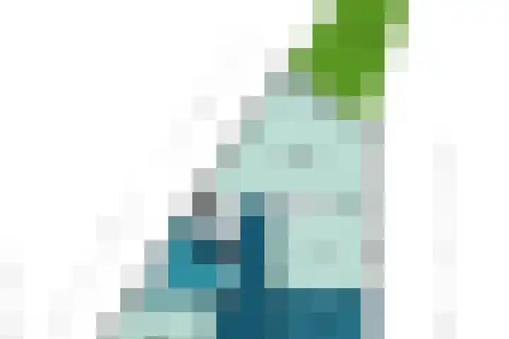 Ganzenveer 48 Heemskerk thumbnail 22