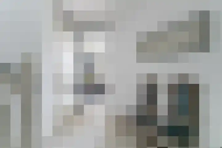 Ganzenveer 48 Heemskerk thumbnail 23