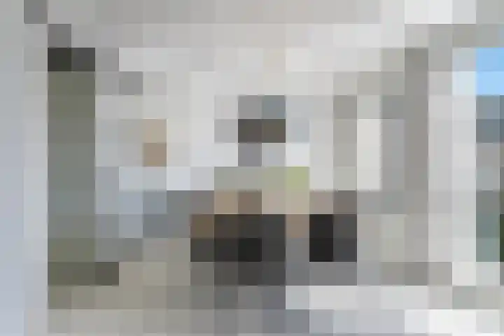 Ganzenveer 48 Heemskerk thumbnail 25