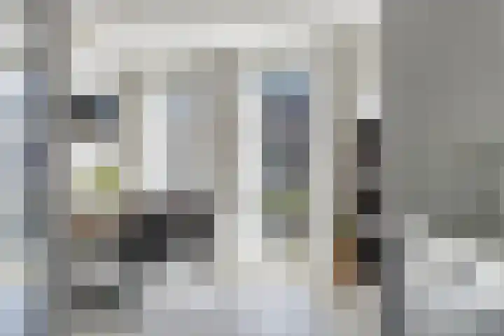 Ganzenveer 48 Heemskerk thumbnail 26