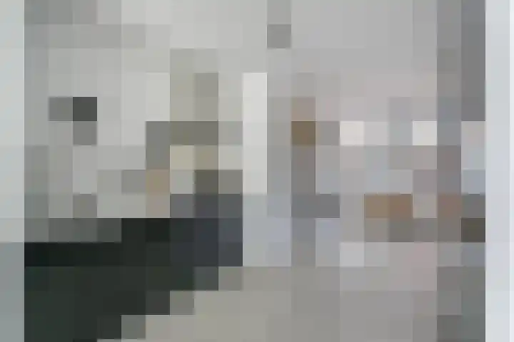 Ganzenveer 48 Heemskerk thumbnail 30