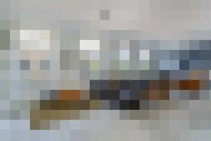 Ganzenveer 48 Heemskerk thumbnail 31