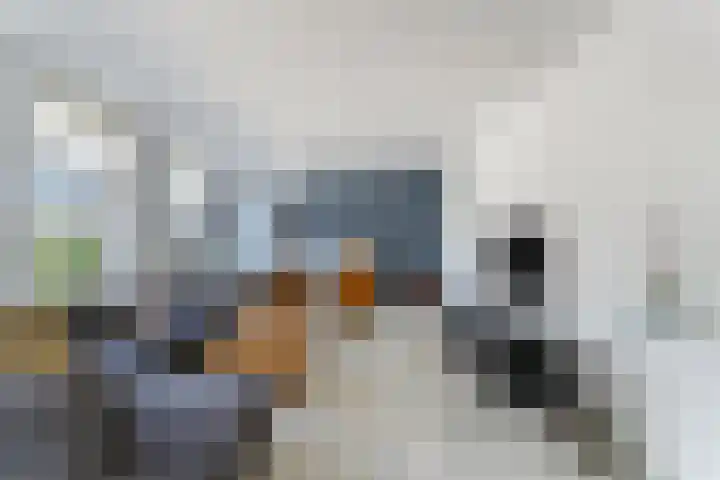 Ganzenveer 48 Heemskerk thumbnail 32