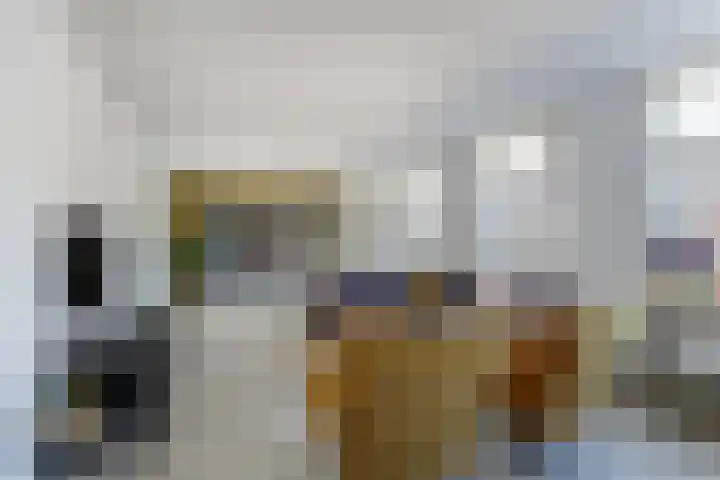 Ganzenveer 48 Heemskerk thumbnail 33