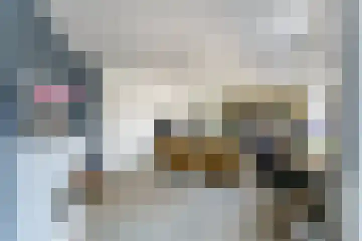 Ganzenveer 48 Heemskerk thumbnail 34