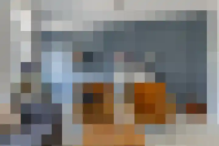 Ganzenveer 48 Heemskerk thumbnail 35