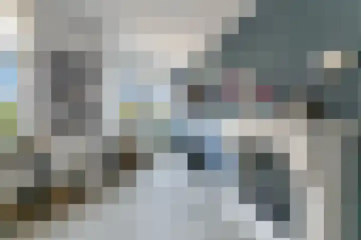 Ganzenveer 48 Heemskerk thumbnail 36