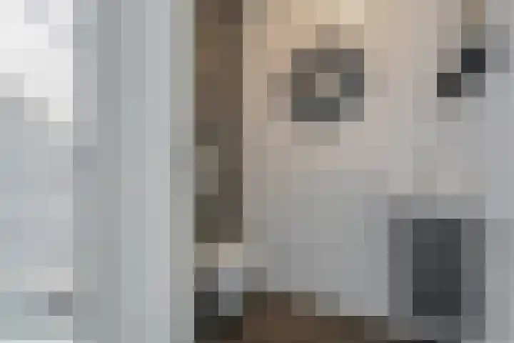 Ganzenveer 48 Heemskerk thumbnail 39
