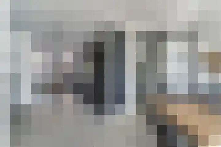 Ganzenveer 48 Heemskerk thumbnail 4