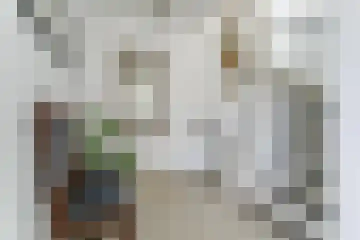 Ganzenveer 48 Heemskerk thumbnail 40