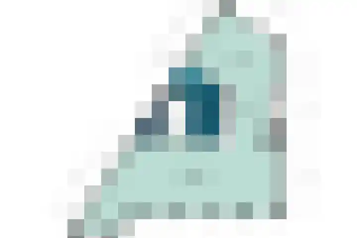 Ganzenveer 48 Heemskerk thumbnail 41