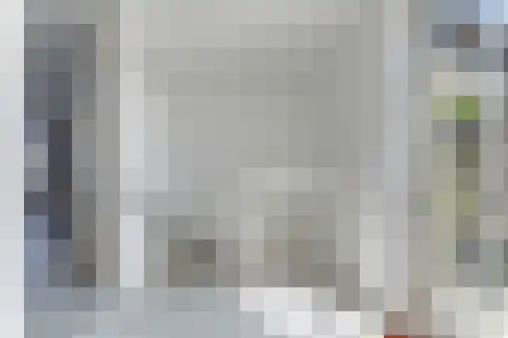 Ganzenveer 48 Heemskerk thumbnail 42