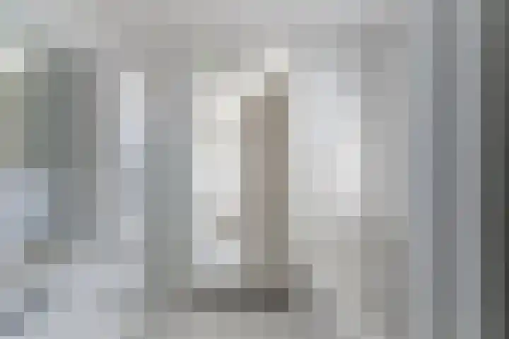 Ganzenveer 48 Heemskerk thumbnail 43