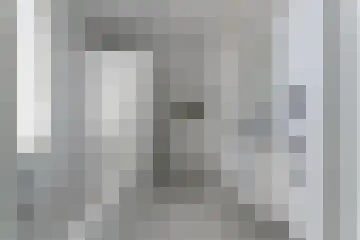 Ganzenveer 48 Heemskerk thumbnail 44