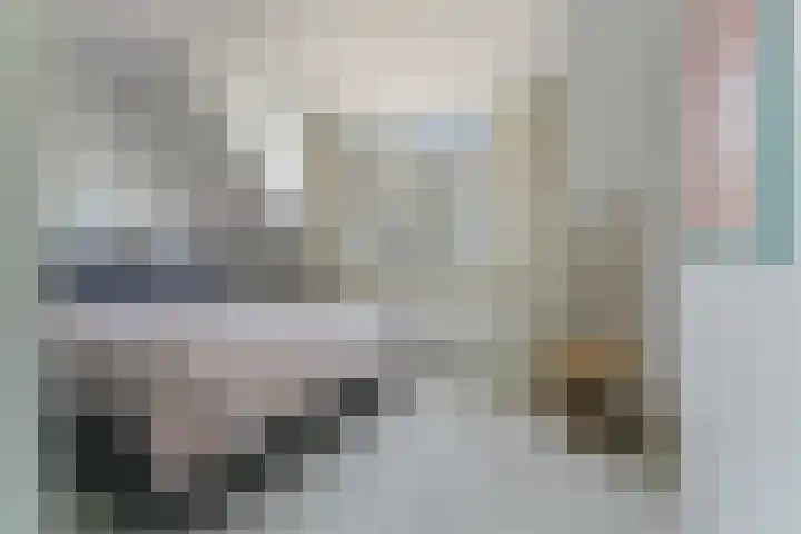 Ganzenveer 48 Heemskerk thumbnail 45