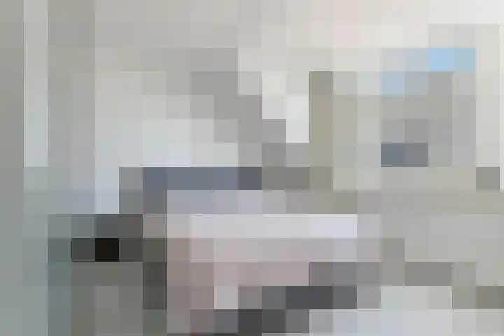 Ganzenveer 48 Heemskerk thumbnail 47