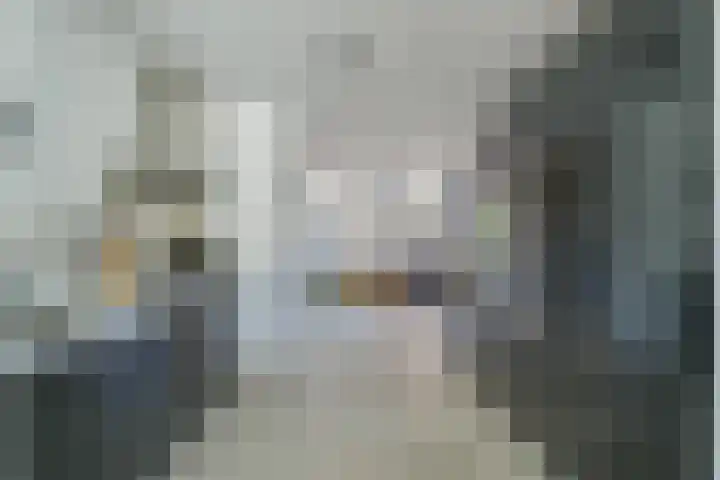 Ganzenveer 48 Heemskerk thumbnail 5