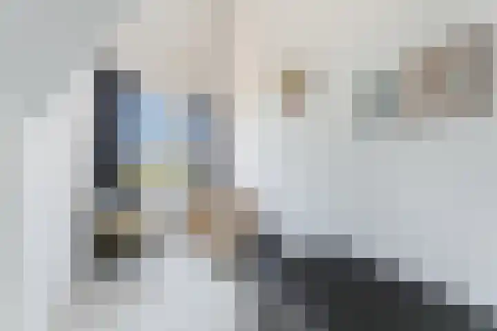 Ganzenveer 48 Heemskerk thumbnail 50