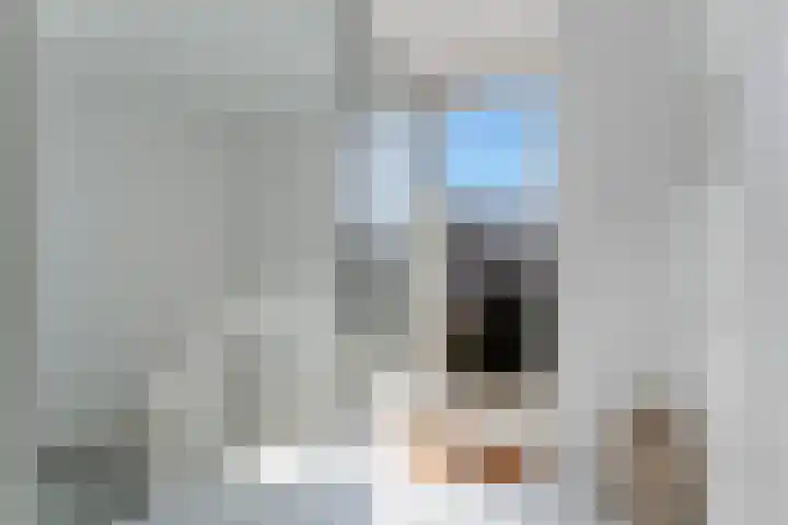 Ganzenveer 48 Heemskerk thumbnail 52