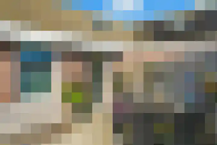 Ganzenveer 48 Heemskerk thumbnail 53