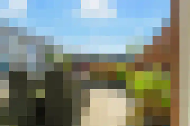 Ganzenveer 48 Heemskerk thumbnail 54