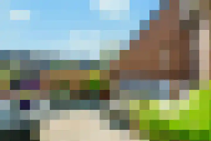 Ganzenveer 48 Heemskerk thumbnail 55