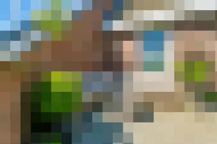 Ganzenveer 48 Heemskerk thumbnail 56