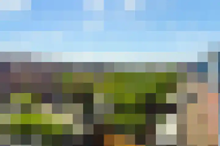 Ganzenveer 48 Heemskerk thumbnail 58
