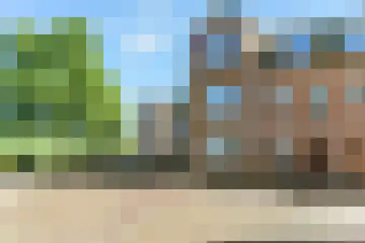 Ganzenveer 48 Heemskerk thumbnail 60