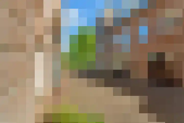Ganzenveer 48 Heemskerk thumbnail 61