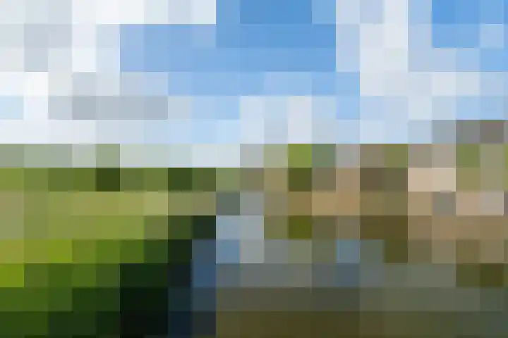 Ganzenveer 48 Heemskerk thumbnail 62