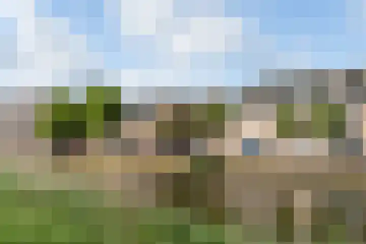 Ganzenveer 48 Heemskerk thumbnail 63