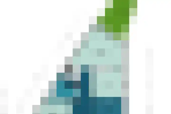 Ganzenveer 48 Heemskerk thumbnail 65