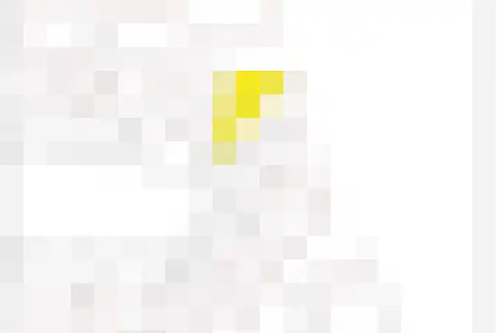 Ganzenveer 48 Heemskerk thumbnail 69