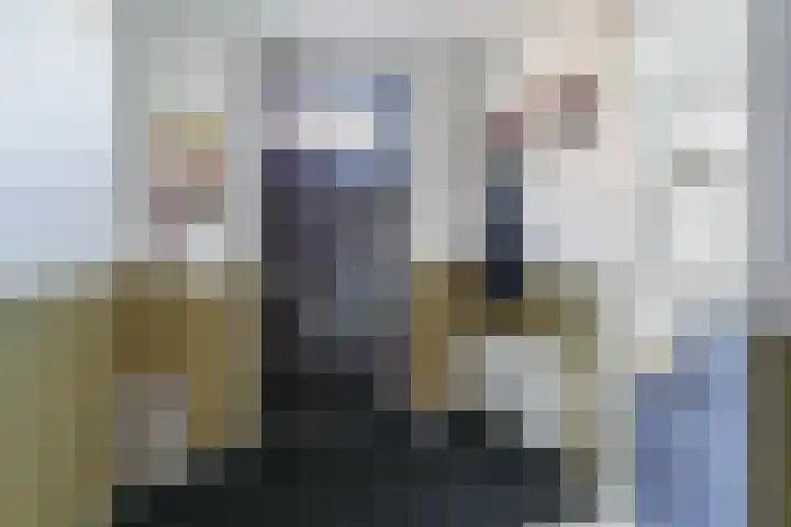 Ganzenveer 48 Heemskerk thumbnail 7