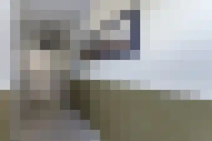 Ganzenveer 48 Heemskerk thumbnail 8