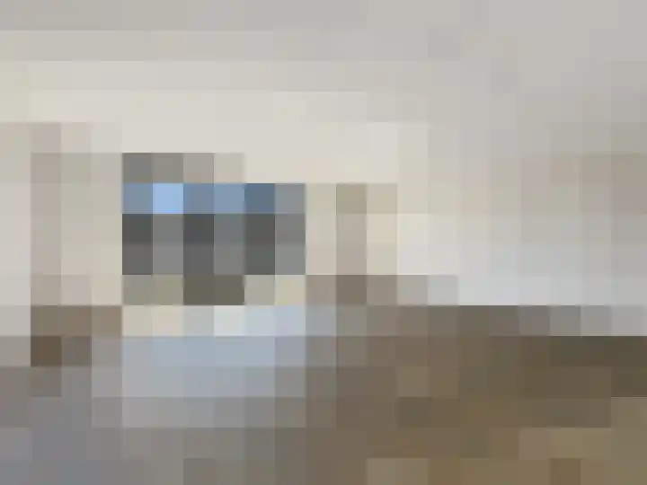 Ganzenveer 51 Heemskerk thumbnail 4