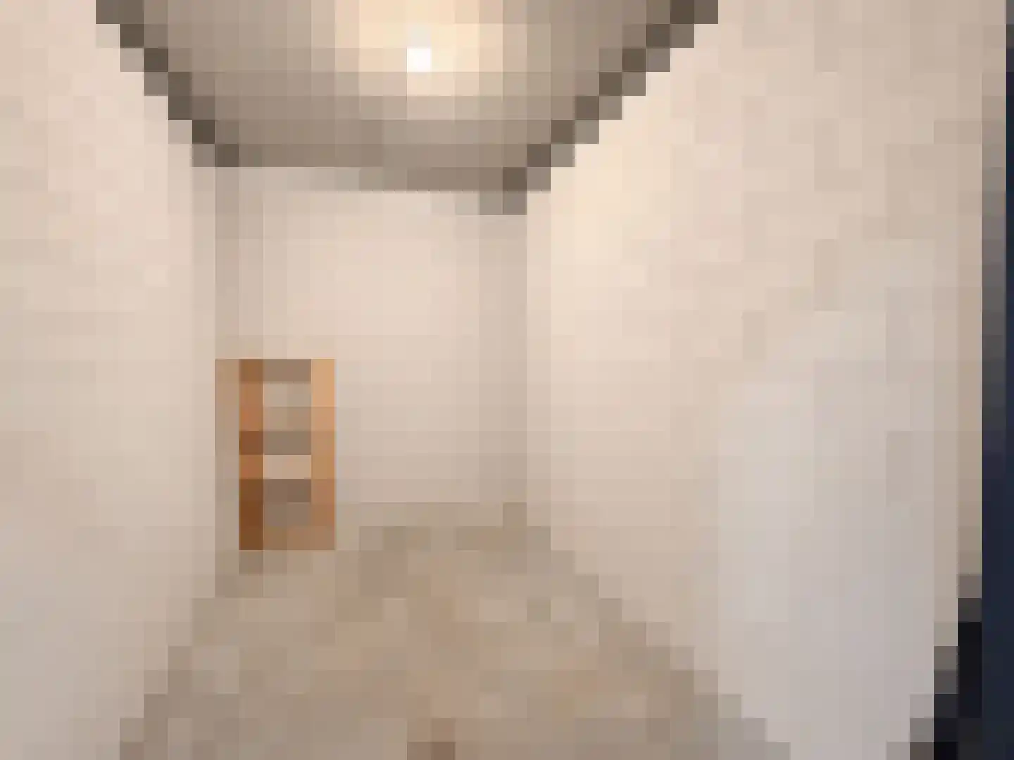 Ganzenveer 9 Heemskerk thumbnail 18