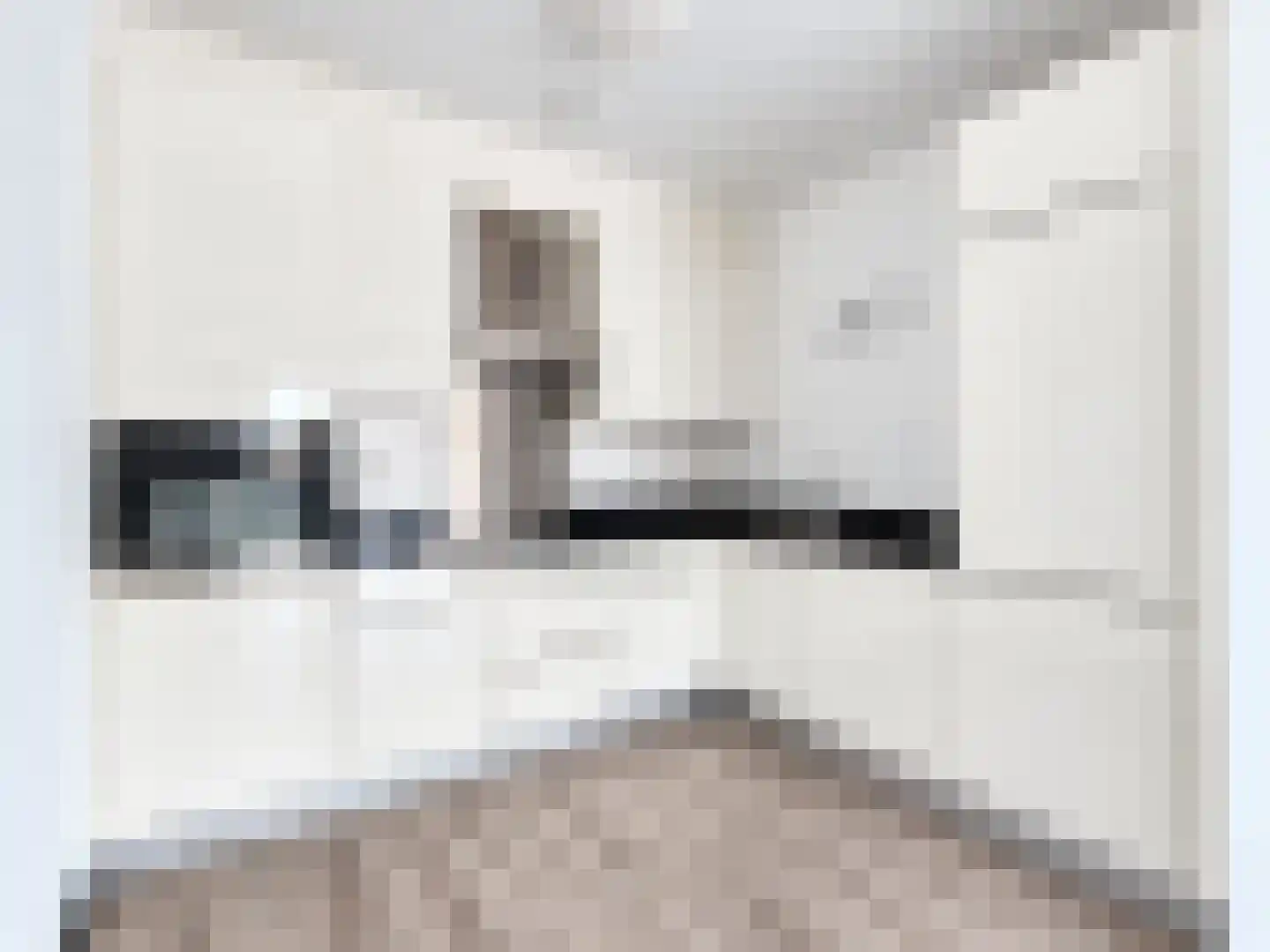 Ganzenveer 9 Heemskerk thumbnail 6