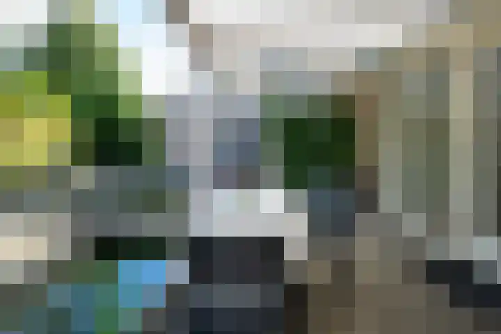Ganzenveld 20 Emmen thumbnail 31