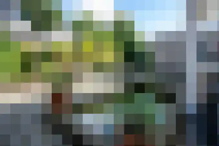 Ganzenveld 20 Emmen thumbnail 33