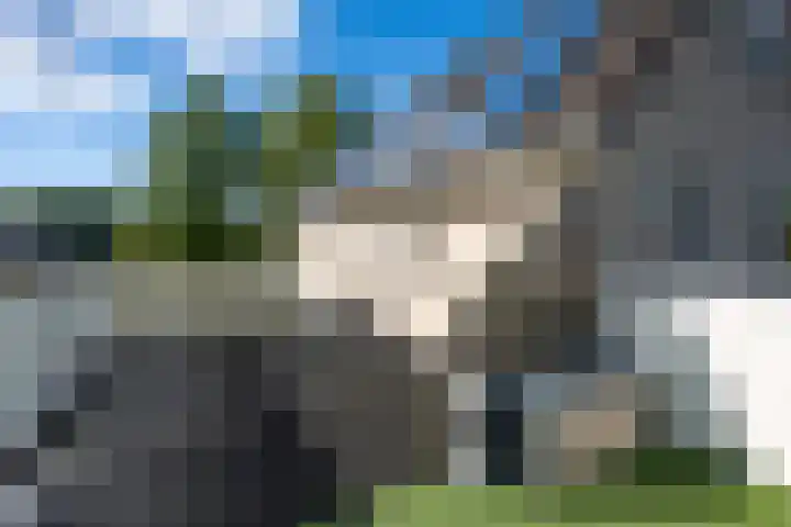 Ganzenveld 20 Emmen thumbnail 36
