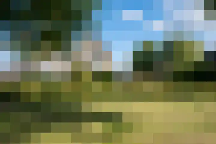 Ganzenveld 20 Emmen thumbnail 44
