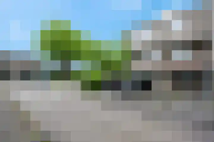 Ganzenveld 62 Emmen thumbnail 28