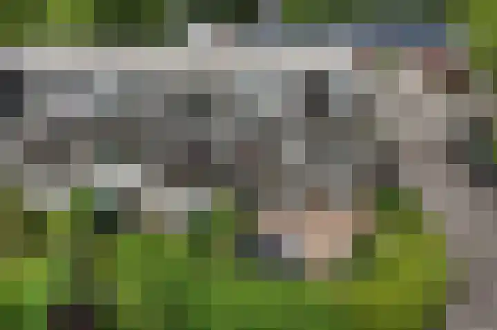 Ganzenveld 62 Emmen thumbnail 31
