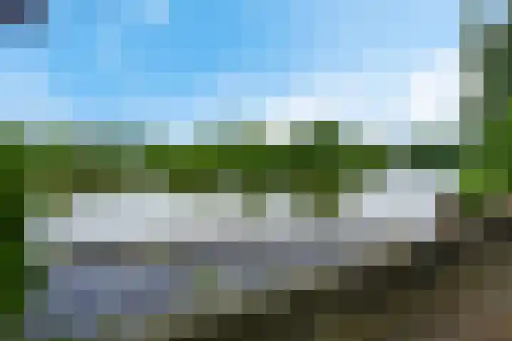 Ganzenveld 62 Emmen thumbnail 32