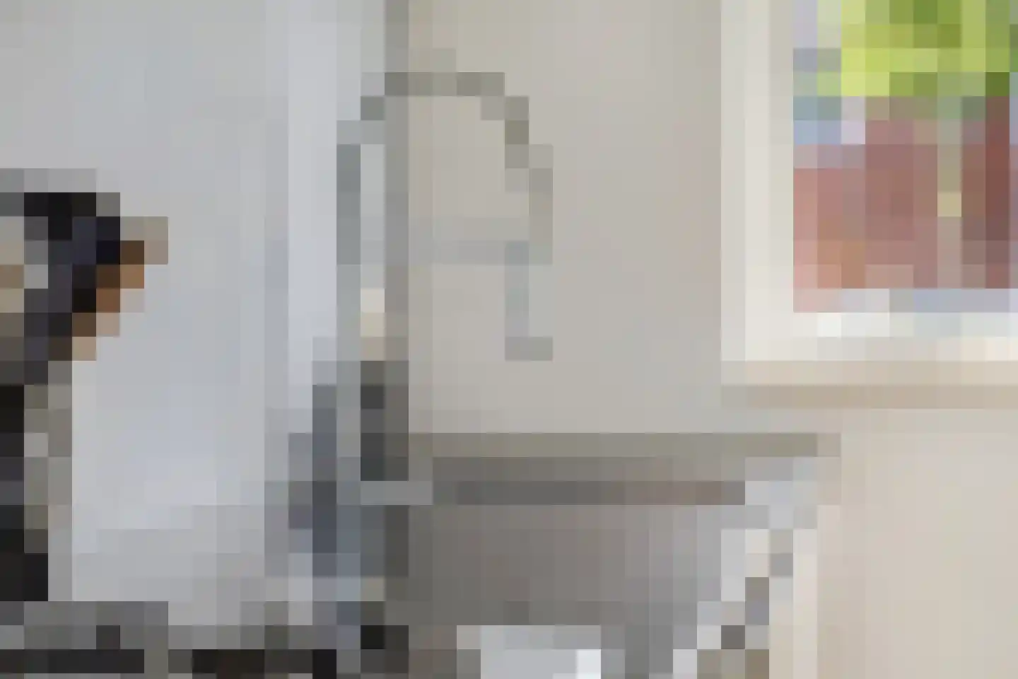 Ganzenvoet 15 Driel thumbnail 10