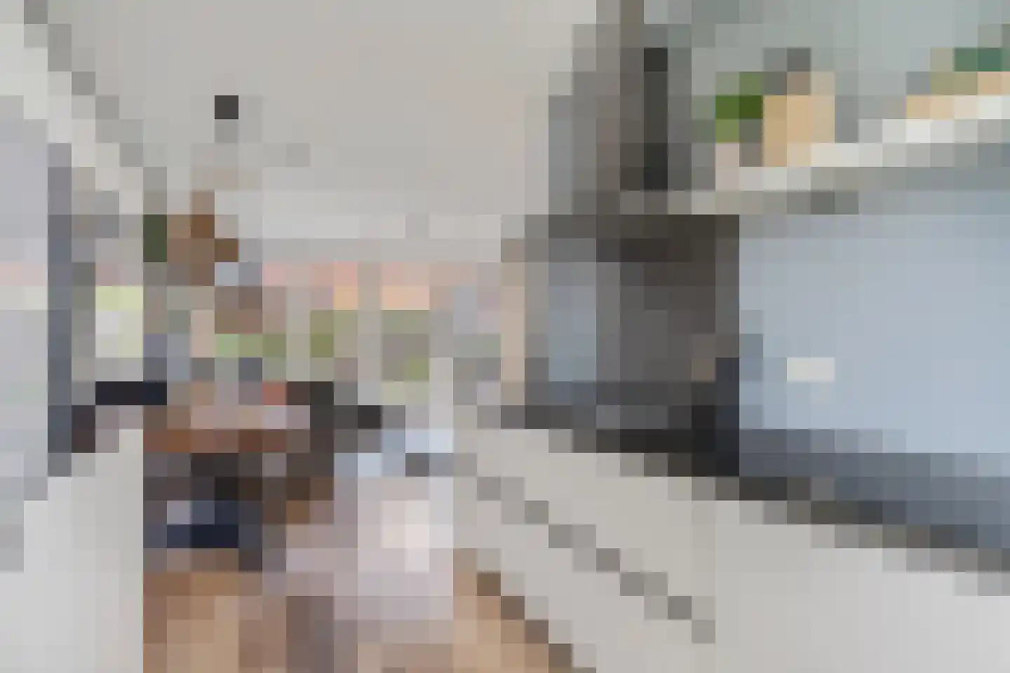 Ganzenvoet 15 Driel thumbnail 11