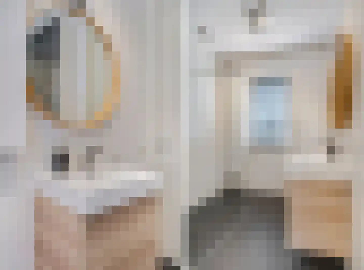 Ganzenvoet 15 Driel thumbnail 17