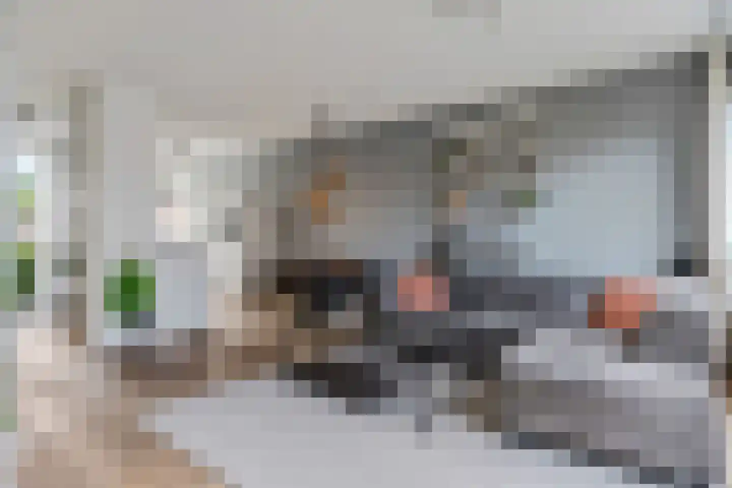 Ganzenvoet 15 Driel foto 2